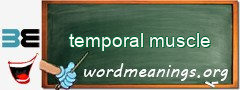WordMeaning blackboard for temporal muscle